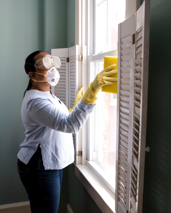 Professional house cleaning service Auckland - Fizzy Cleaning team member cleaning a modern home