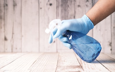 Deep cleaning services Auckland - thorough kitchen deep clean